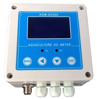 在线式溶氧监测仪RGM-DO200