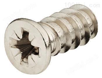 Varianta特殊螺丝,长度13.5mm,适用5mm钻孔,钢质镀镍