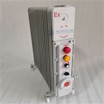 BDR-2KW3KW防爆电热油汀 防爆移动式电暖器